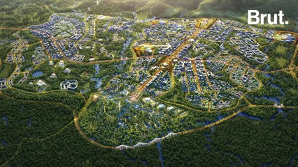 Une capitale futuriste géante… en pleine forêt ?!