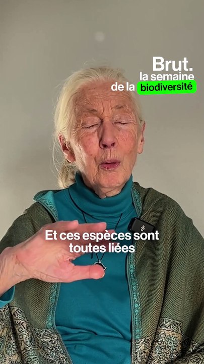 L’importance de la biodiversité par Jane Goodall