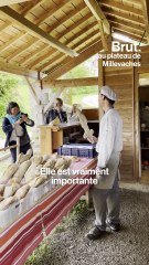 Une île, un habitant, une boulangerie