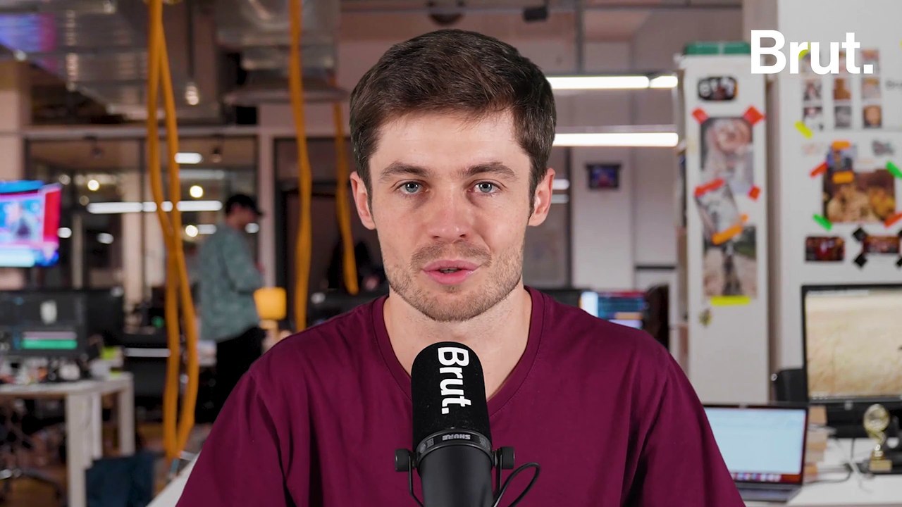 Quels sont les secrets de ce mystérieux requin qui résiste aux siècles ?