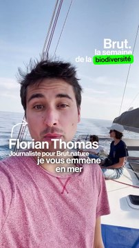 Comment on fait l'inventairedes espèces menacées ?