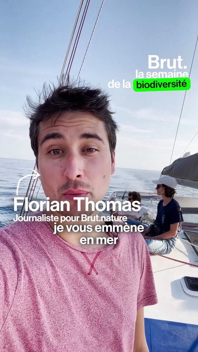 Comment on fait l'inventairedes espèces menacées ?