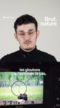 La triche derrière certaines photos animalières