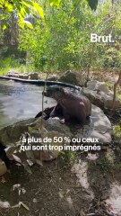 Son métier : gardienne de refuge
