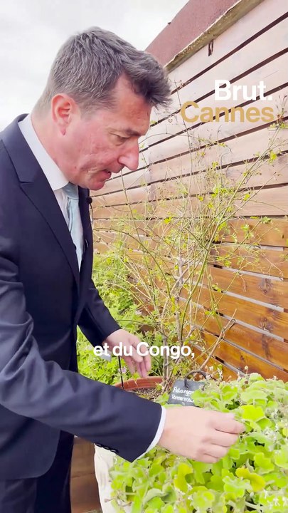 Les secrets du barman qui fait les meilleurs cocktails de Cannes