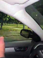 Lupi a Pescara, uno si allontana con un fischio