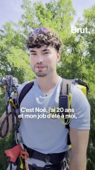 Mon job d'été : moniteur d'accrobranche