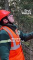 Son métier : garde forestier