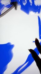 BRUT DEZOOM : d'où vient vraiment Erasmus ?