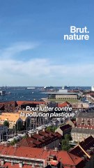 À Copenhague les touristes "écolos" sont récompensés