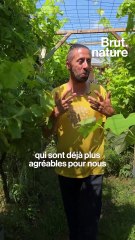 Visite d'un jardin-forêt 100 % autonome en France