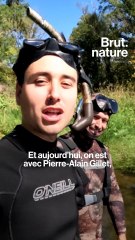 Plongée au milieu des silures, le prédateur de la Loire