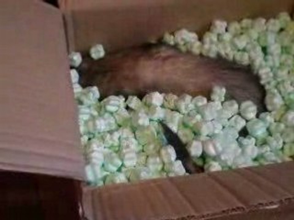 Eliott en plongé ^^