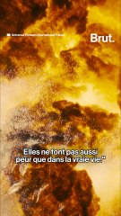 Une vraie bombe nucléaire lancée par Christopher Nolan ?