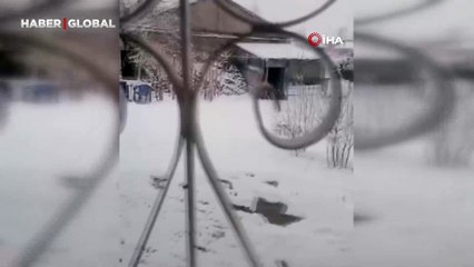 Tilkiler ilçe merkezine indi