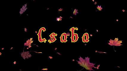 Csaba ¦ Előzet (dalszöveges audió)