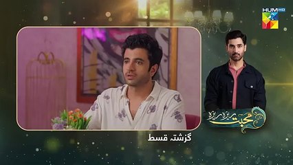 Mohabbat Reza Reza - Episode 31 - 22nd November 2024 - [ Mirza Zain Baig & Minsa Malik ] - HUM TV