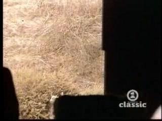 Michael Jackson's Hit Song: 'Say, Say, Say' 🎶