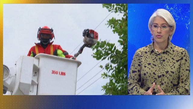 ASEP verifica instalaciones de la red eléctrica y de telecomunicaciones