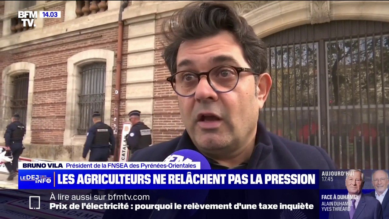 Colère des agriculteurs: "Le compte n'y est pas", estime Bruno Vila (FDSEA Pyrénées-Orientales) lors d'une action devant la préfecture