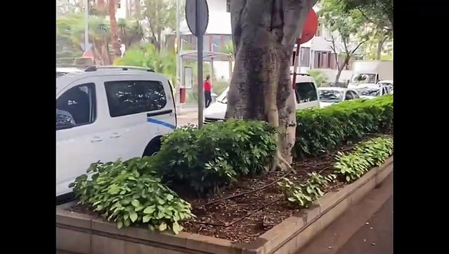 Movilización de los taxistas en Santa Cruz de Tenerife