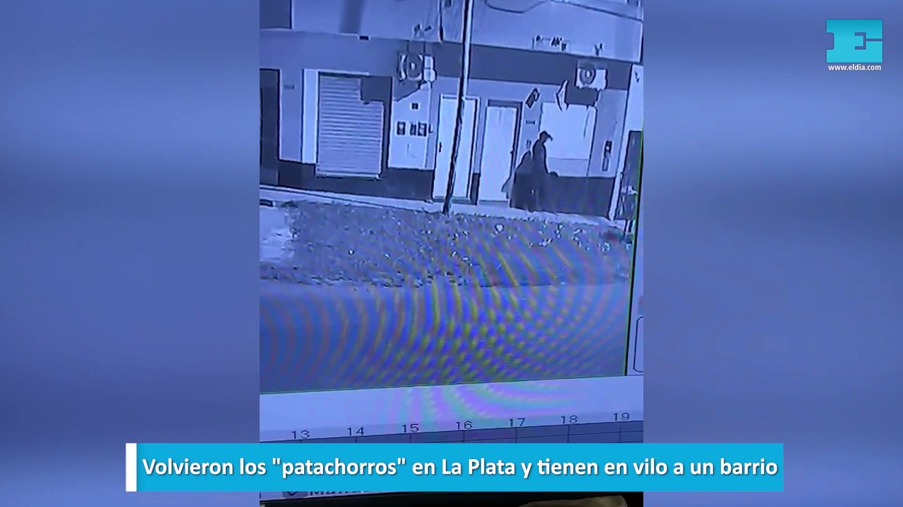 Volvieron los "patachorros" en La Plata y tienen en vilo a un barrio