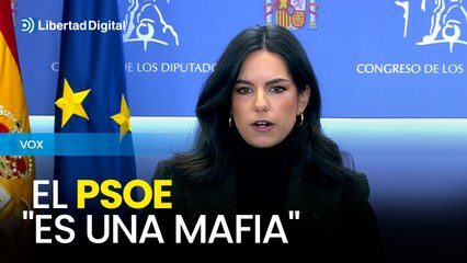 Vox exige el cese del fiscal general por la presunta filtración de datos de la pareja de Ayuso