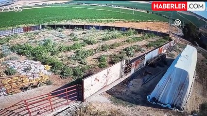 Nevzat Bahtiyar'ın olay gününe ait yeni görüntüleri kamerada