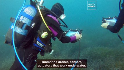 Meet Chiara Petrioli: Pioneering Wireless Networks 3,000 Meters Underwater 🌊