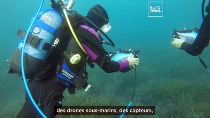 Rencontrez la femme à l'origine de l'« Internet des objets sous-marins »