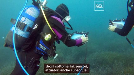 Ecco chi c'è dietro l'“Internet of Underwater Things”