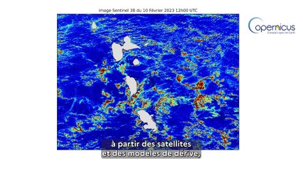 Prévision des échouements de sargasses par Météo France
