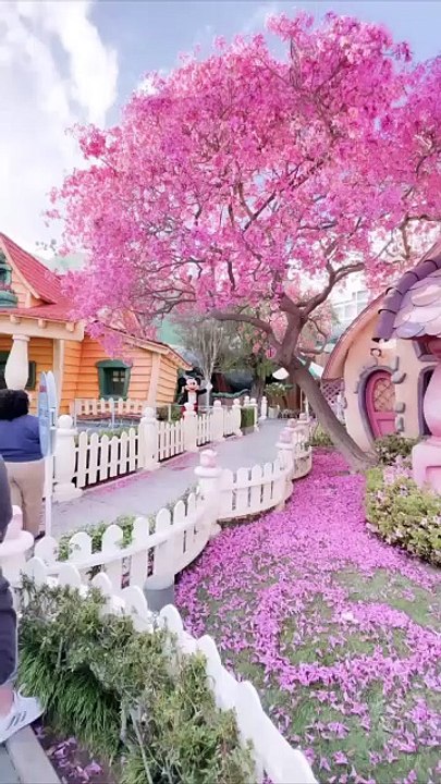 💓 Keep going. Everything you need will come to you at the right time.