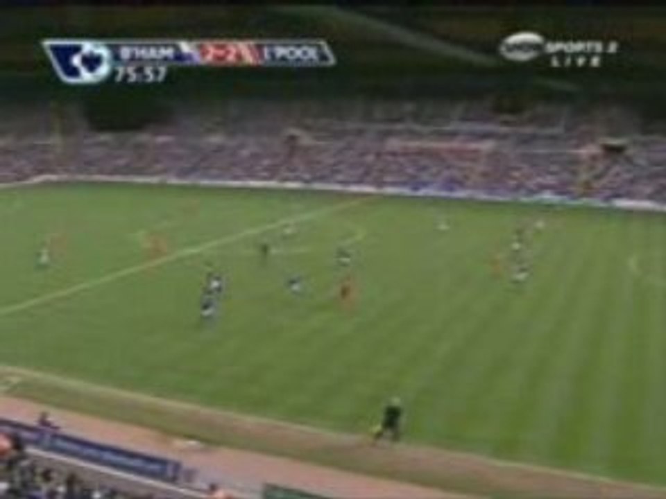 2-2 พยูน V นกเด้าลม
