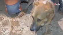 Final feliz: tras un angustioso rescate en Valencia, Fran se reencuentra con su familia (Vídeo)
