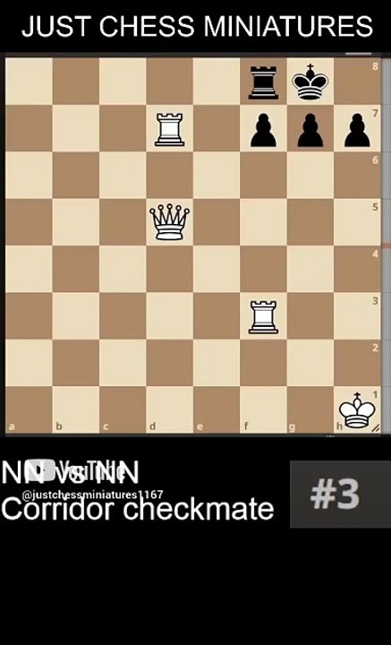 NN vs NN. Corridor checkmate 3