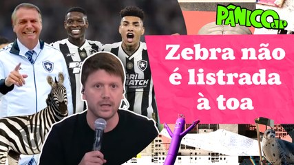RESENHA ZU E ZUZU: DIFERENTE DO FOGÃO, BOLSONARO TÁ CHEIO DE GÁS PARA PRÓXIMOS CAPÍTULOS?
