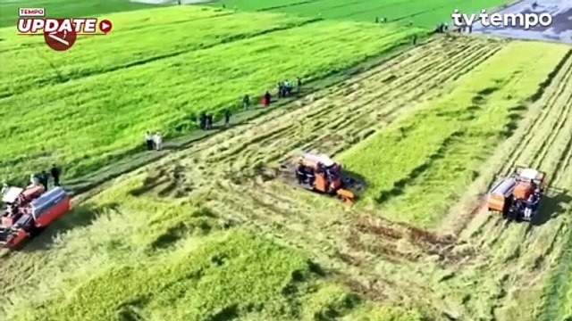 Zulhas Sebut Stok Beras Nasional Capai Angka Tertinggi Dalam 5 Tahun