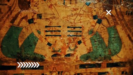 Los Grados Filosóficos 🌿