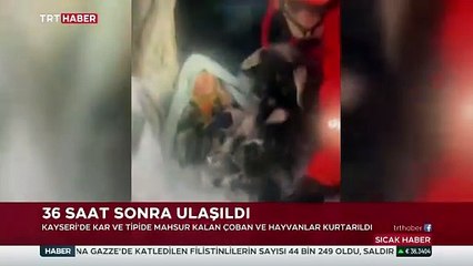 Kuzularına sarılı halde bulunmuşlardı... Yaşlı çift o anları TRT Haber'e anlattı