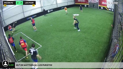 But de Matthieu M - Les Puristes