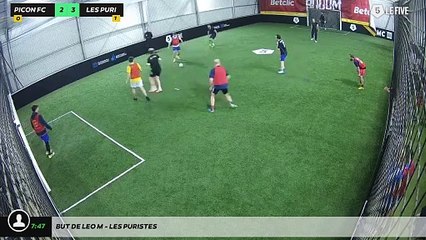 But de Leo M - Les Puristes