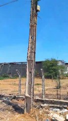 Morador do Jatobá faz apelo à Energisa para troca de poste com estrutura comprometida; Energisa diz que serviço já está programado