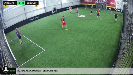 But de Alexandre H - Les Puristes