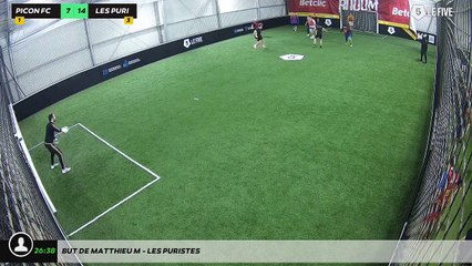 But de Matthieu M - Les Puristes