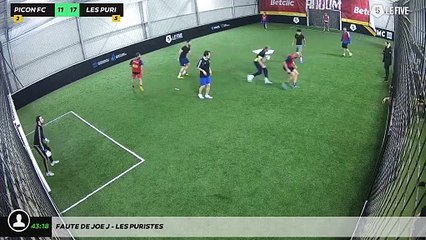 Faute de Joe J - Les Puristes