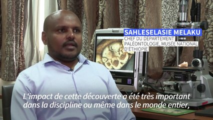 Éthiopie: 50 ans après sa découverte, Lucy n'a pas livré tous ses secrets