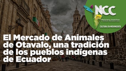 El Mercado de Animales de Otavalo, una tradición de los pueblos indígenas de Ecuador