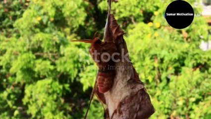 Motivational imagine story