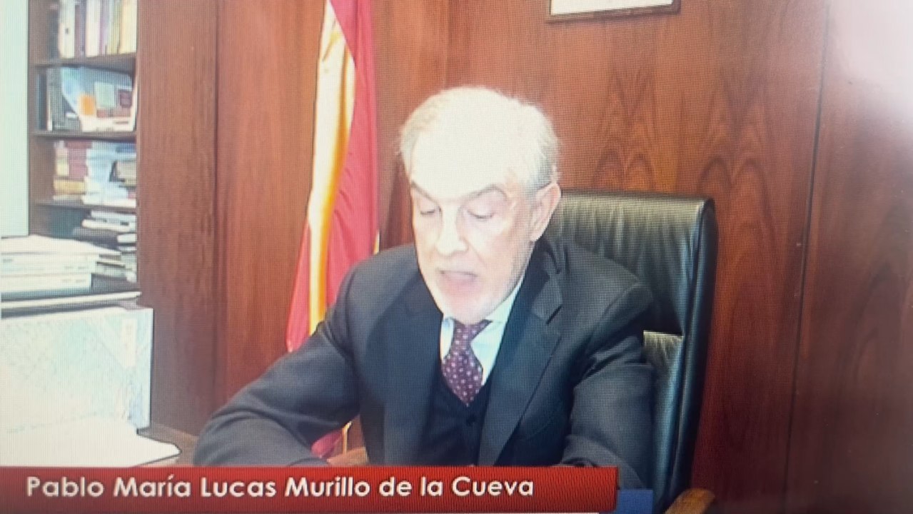 Comparecencia de Pablo Lucas